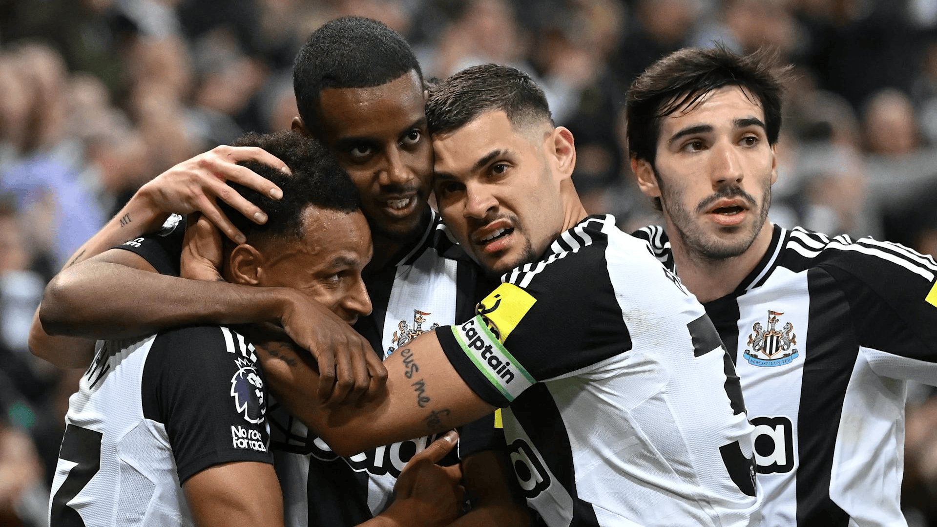 包含纽卡斯尔VS埃弗顿黑马挑战高清无延迟全程转播的词条  第1张