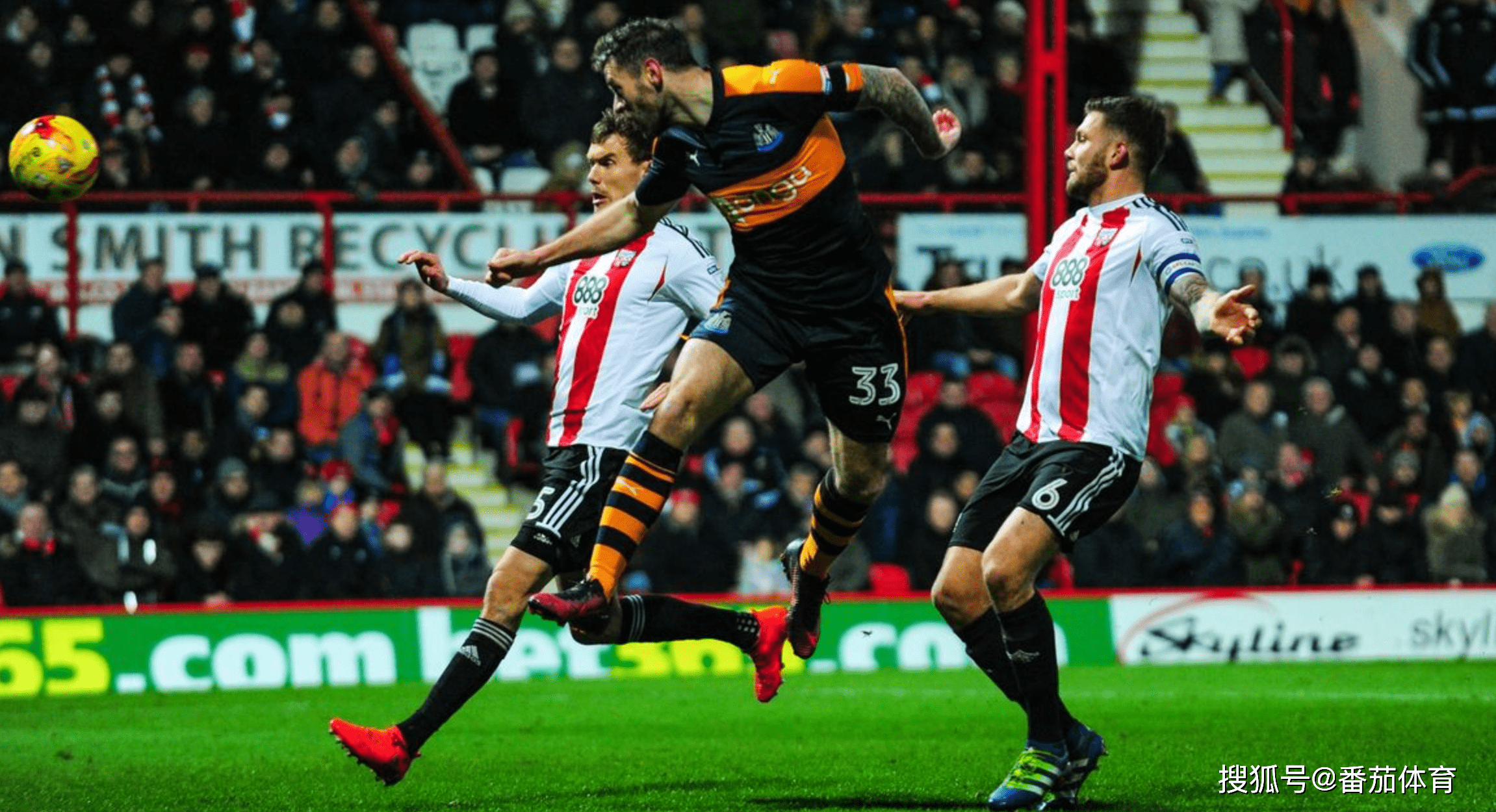 纽卡有意引进维萨布伦特福德要求高价  第1张