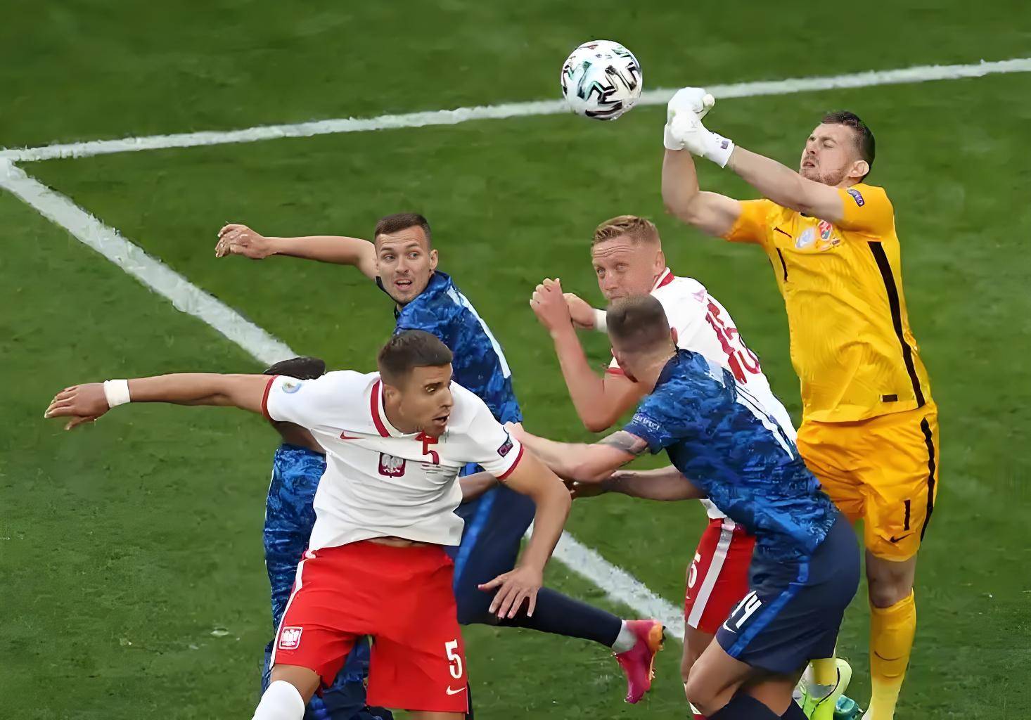 关于世预赛斯洛文尼亚VS瑞典比赛分析斯洛文尼亚主场稳定的信息  第1张