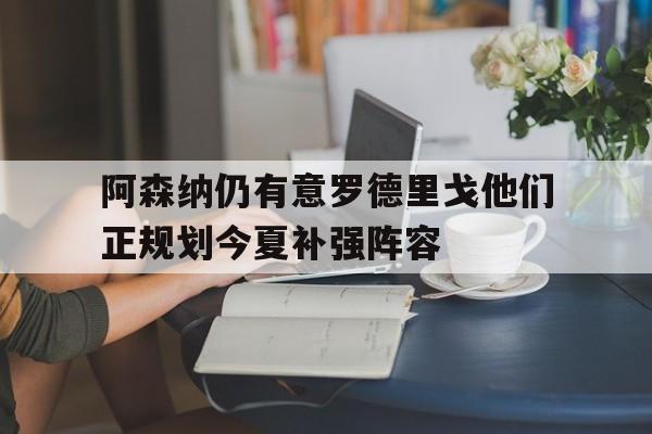 包含阿森纳仍有意罗德里戈他们正规划今夏补强阵容的词条  第1张