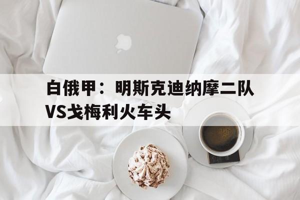 关于白俄甲：明斯克迪纳摩二队VS戈梅利火车头的信息  第1张