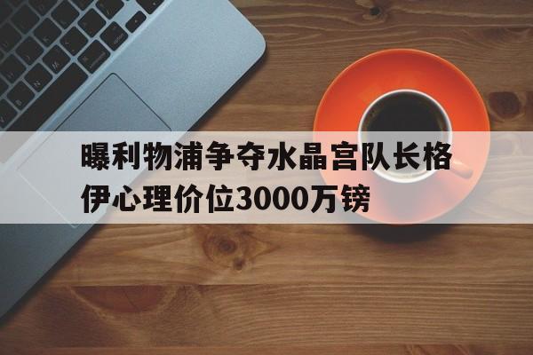 曝利物浦争夺水晶宫队长格伊心理价位3000万镑的简单介绍