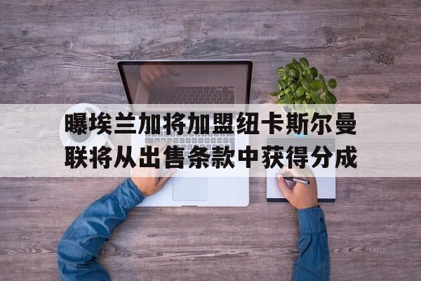 关于曝埃兰加将加盟纽卡斯尔曼联将从出售条款中获得分成的信息  第1张