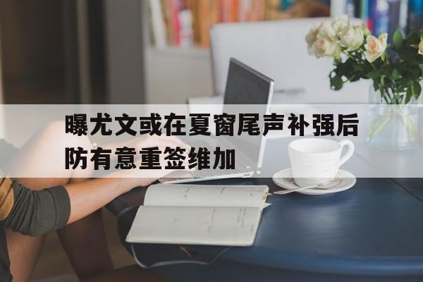 曝尤文或在夏窗尾声补强后防有意重签维加的简单介绍  第1张