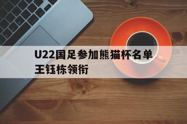 关于U22国足参加熊猫杯名单王钰栋领衔的信息  第1张