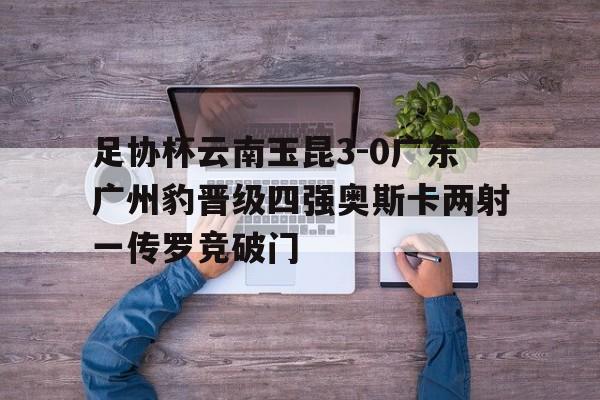 包含足协杯云南玉昆3-0广东广州豹晋级四强奥斯卡两射一传罗竞破门的词条  第1张